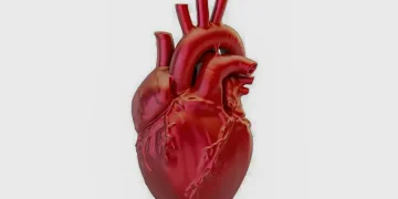 A cada 72 segundos, uma pessoa morre por doença cardiovascular no país