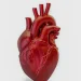 A cada 72 segundos, uma pessoa morre por doença cardiovascular no país