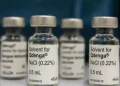 Dengue: 3 milhões de adolescentes estão com vacinação incompleta